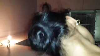 Slutty FoxI di iemīlēja, bet masturbē viņas piedāvājums cunt