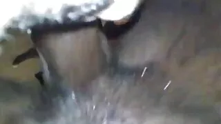 Meitene masturbē viņas tauku un sulīgs maksts solo
