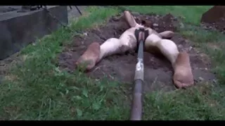 Pēc laba blowjob, Vecais Skolotājs Izdrāž Skolniece ass