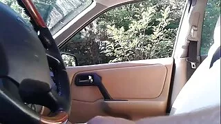 Skaista, jauna kaila meitene gaida puisis, lai prieks sev